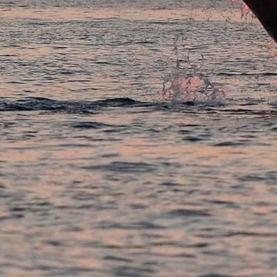 feelingfauk's profile picture. ً