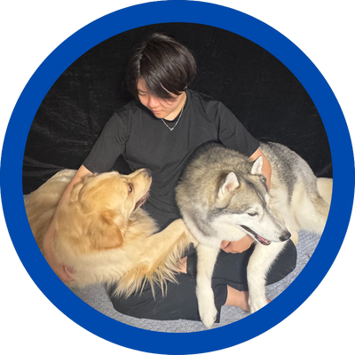 tmy_dev's profile picture. 大型犬2頭（ハスキー/ゴールデン）と暮らす26歳フリーランス。 **「愛犬の課題は技術で解決する」**をテーマに、犬のためのプロダクトを開発しています🐕💻
YouTubeでは「説明はいらない没入感」をテーマに、映画のような愛犬との日常を発信中