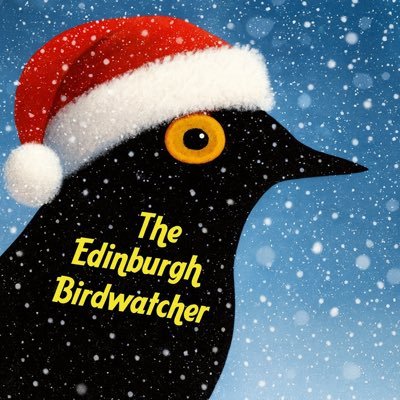 EdinBirdwatcher's profile picture. Welcome to the X Page of The Edinburgh Birdwatcher who is passionate about Birding and enjoys filming and taking pictures of Birds & Wildlife.