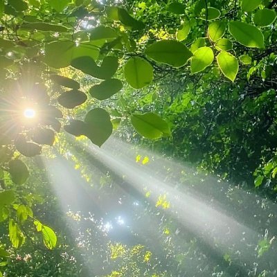 uruszm's profile picture. 旅は、人生を自分の好きな形に整えていくことを教えてくれる。💖