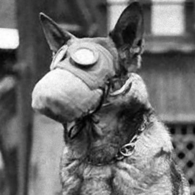 violenc9's profile picture. 