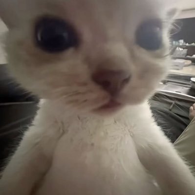 Avintika_ur_mom's profile picture. 