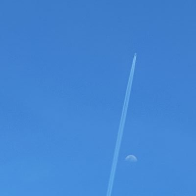 Mi_mintea's profile picture. 性格の悪い短歌を詠んでおります

まだまだ日が浅いですが、宜しくお願いします