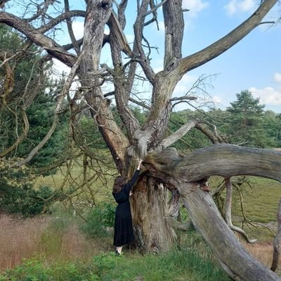 HedgeWitchBecca's profile picture. 🌿 Nature enthusiast | Animal lover 🐾 | Retrophile 🕰️ | Dark humor aficionado 💀| Finding joy in the wild and the weird.