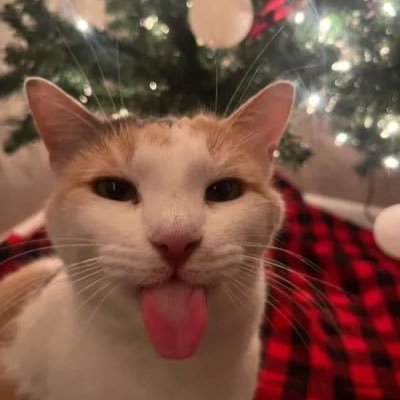 atlasornothing's profile picture. ‘and when i stop and see you here , i remember who all this was for’ | recovtwt’s resident wroomf | @atlasfaraway @atlaslostaway