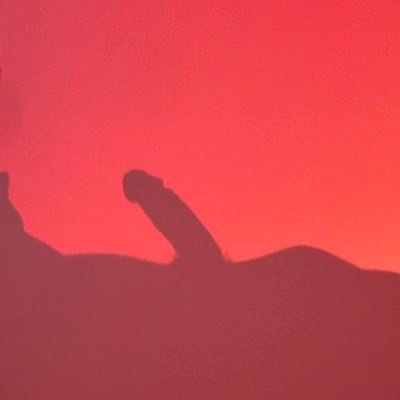 slutt4ap's profile picture. **MDNI**(nsfw) *dm before following me*