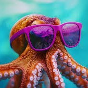 cyberzhangyu's profile picture. 专注搜集最实用的加密信息，只要你看的够多，总会找到你的天命之币。