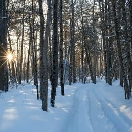 TAmirdnw's profile picture. Efficacy with restraint; influence without injury