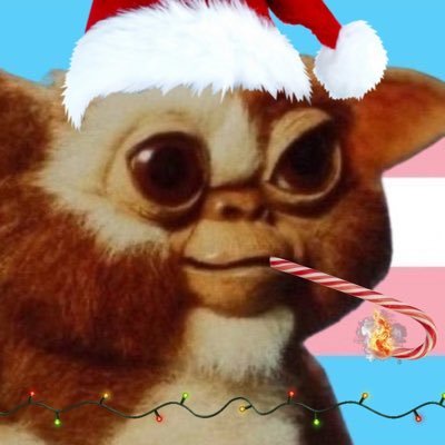 basedgizmo's profile picture. 