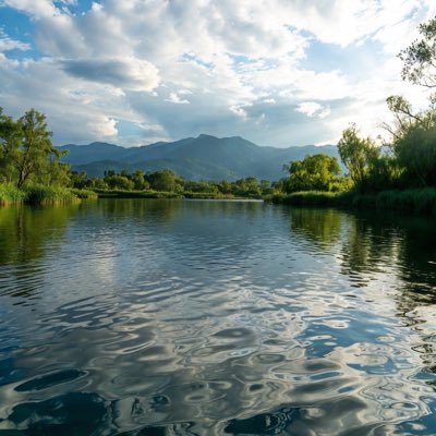 AbetterWforUs's profile picture. I’m here to talk about our daily problems. I’m the voice of the voiceless. Follow me for more, and DM me your stories.