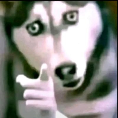 ismailk71766506's profile picture. 