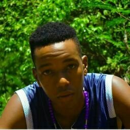 wilhad01's profile picture. 