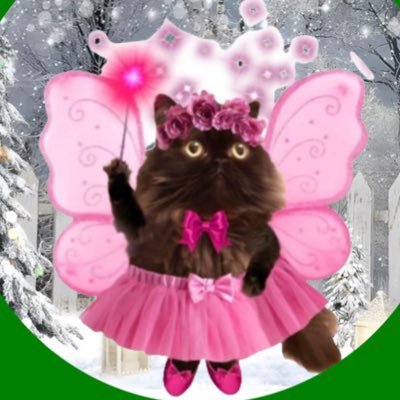 DomainDoris's profile picture. A Black Smoke Persian floof with mischief in my DNA. Self-confessed Nipaholic 🌱General Bonkers #Hedgewatch #Mogwarts She/her/floof/floofster