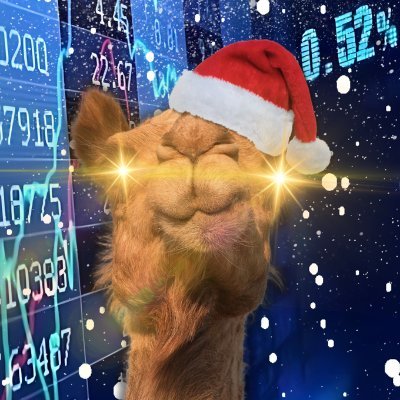 camelfinance's profile picture. ALL TRADES SHOWN LIVE ON YOUTUBE Pro Retail Trader | Swing Trades | Market Cycles | Macro | YouTube: https://t.co/CjCMKPxvih