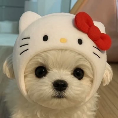helloimkkikki's profile picture. 안뇽허십니꺼