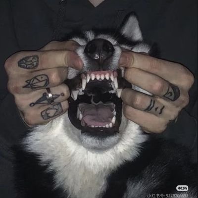 paka20080903's profile picture. 帕卡/paka
什么都发。
⚠️🔞⚠️