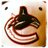 bdents's profile image