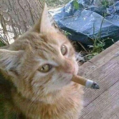 Kontrolz_'s profile picture. 25. hey