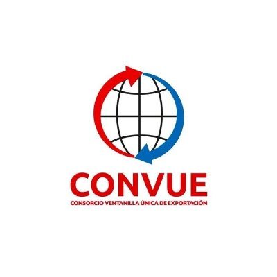 VUEParaguay's profile picture. 