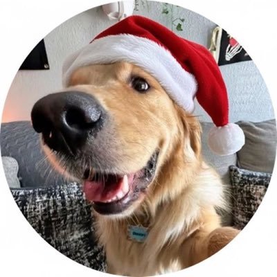 acervodoguinhos's profile picture. 