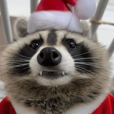 HowdyPeepos's profile picture. 