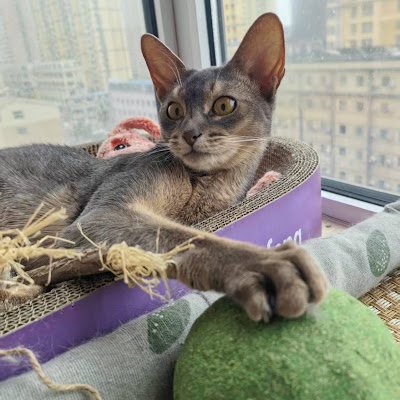 DavidHcrno97179's profile picture. Banker