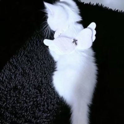 SkyuMkyuLkyu's profile picture. 生きる理由ができた💖💖