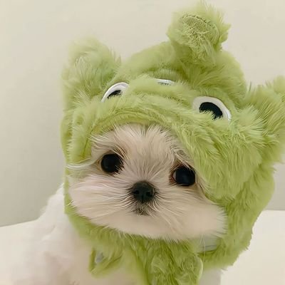 2leafofB00K2's profile picture. 독서계📚 | 직렬독서 | 이 세상 모든 스토리를 사랑합니다
위픽/안전가옥/오늘의젊은작가 뽀개기 중