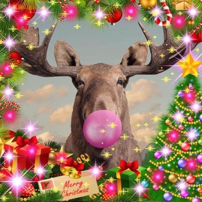 FotographyMt's profile picture. Profil. Rudolph. Cover. Lyn og Torden. Fotograf fra Århus. ingen egne tweets = blokering