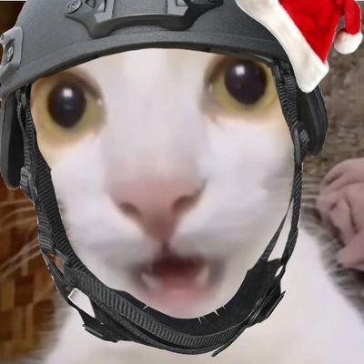 GEunseol61485's profile picture. 20⬇️ 밀리터리판 들어온지 별로 안돼서 잘 몰라요 잘 가르쳐주시긔
정치적,성적,일베 발언은 삼가해주세요!