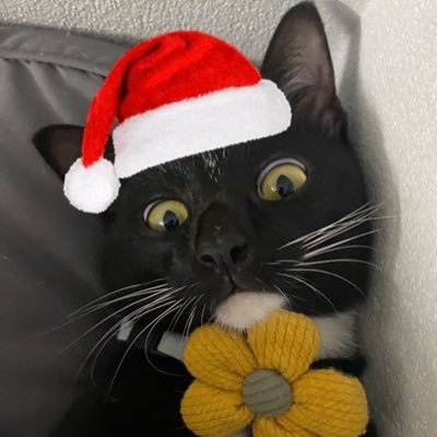 BBabevy's profile picture. 🍮🌶️ #LINGORM 💜