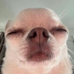 fweman2's profile picture. 아…계정 정지좀 그만시켜라 4번째다