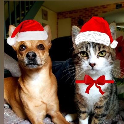 otakrout's profile picture. 