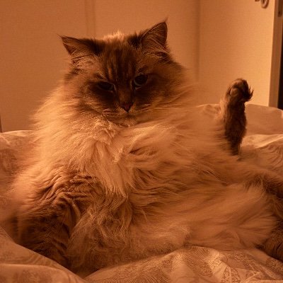 Edouard_M's profile picture. 