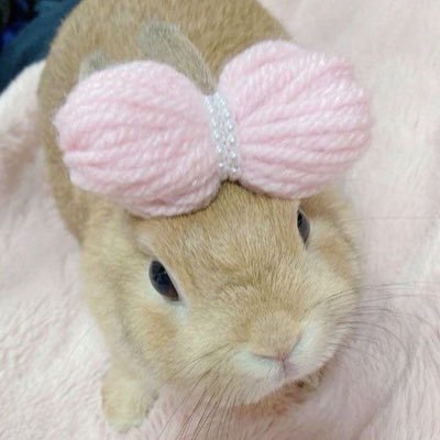 itarikimasu's profile picture. ⠀ ⠀⠀ Loving #니키 always ~ & 4ever ♥︎_____♥︎ ~~~⠀⠀ ⠀⠀ ⠀⠀ ⠀⠀ ⠀⠀ ⠀⠀ ⠀⠀ ⠀⠀ ⠀⠀ ⠀⠀ ⠀⠀ ⠀ ⠀⠀⠀⠀⠀⠀ ⠀⠀ ⠀ ⠀⠀ ⠀ ⠀⠀ ⠀ ⠀⠀ ⠀ ⠀⠀ ⠀ ⠀⠀ ⠀