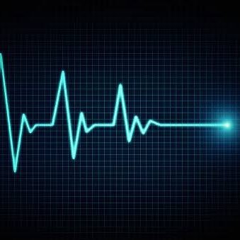 tatsuru_kikuchi's profile picture. 