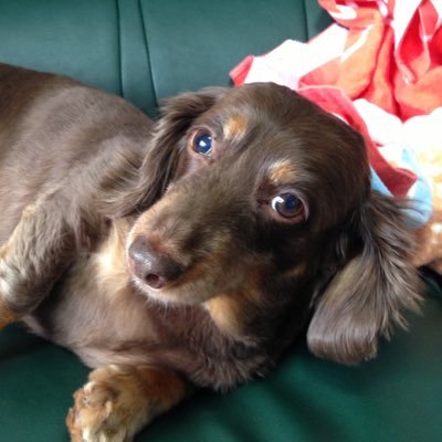 sublabit's profile picture. 副業を始めるにあたって作ったアカウントです。プログラミングでやっていく予定。