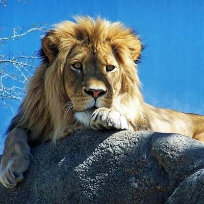 cherc385478's profile picture. 