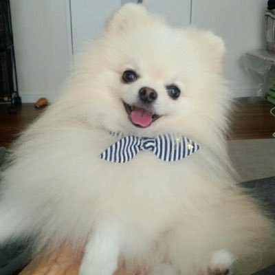 uo_ou_820's profile picture. LV23    酒、料理、投資、車、ゴルフ