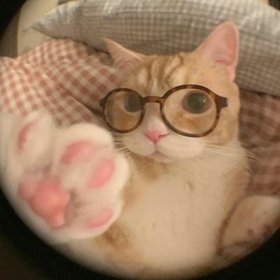 thenerdisback_'s profile picture. listen to the beat of your heart, keep on dancing