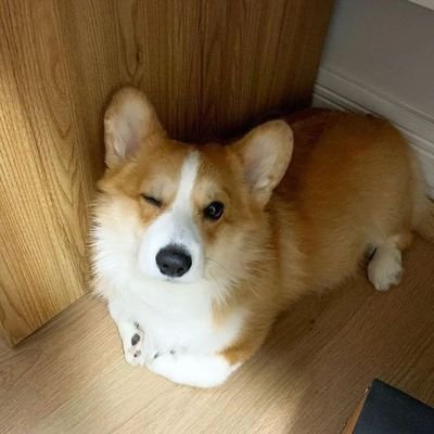 MyekoSOL's profile picture. Moneyfesting ✨☘️ | @solchairman (locked) | #BTC #ETH #BNB