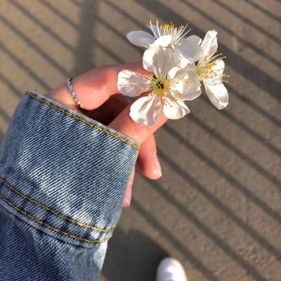 nn_rr2008's profile picture. من صّب فيك هَذا الحسّن و أستبَاح عَذابي?!