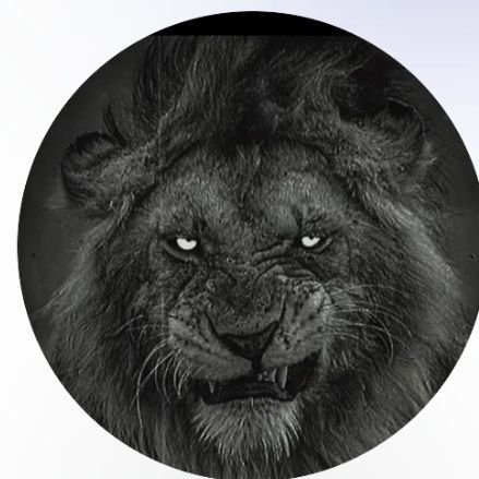 MahmoudAbb96261's profile picture. 