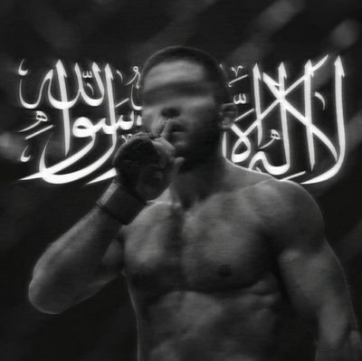 birkul1184164's profile picture. 