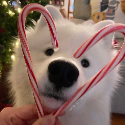 flymemydear's profile picture. ⋆˚🐾˖° 𝗒𝗈𝗎 𝗌𝗁𝗂𝗇𝗂𝗇𝗀 𝗅𝗂𝗄𝖾 𝖺 𝖻𝗋𝗂𝗀𝗁𝗍𝖾𝗇𝗂𝗇𝗀 𝗌𝗍𝖺𝗋 𝗂𝗇 𝗍𝗁𝖾 𝗌𝗄𝗒 .☘︎ ݁˖