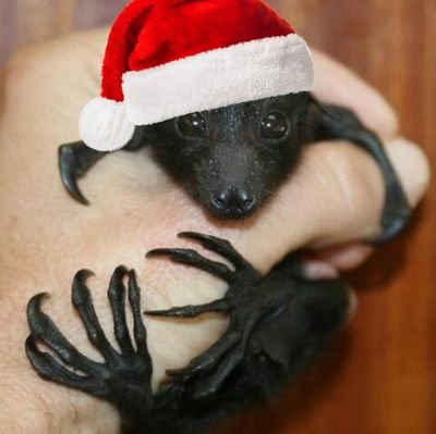 RES0NAR's profile picture. ᅟᅟᅟᅟᅟᅟᅟᅟᅟᅟᅟᅟᅟᅟᅟᅟᅟᅟᅟᅟᅟᅟ⠀𝑰 ’ 𝑴 ⠀⠀𝑵𝑶⠀⠀ 𝑺𝑻𝑹𝑨𝑵𝑮𝑬𝑹⠀⠀ 𝑻𝑶 ⠀⠀𝑻𝑯𝑬⠀⠀ 𝑺𝑰𝑮ꫝ𝑻⠀⠀⠀⠀／⠀⠀⠀⠀ 𝑖𝑡 ⠀⠀𝒅𝑜𝑒𝑠𝑛 ’ 𝑡⠀⠀ 𝑒𝑣𝑒𝑛 ⠀⠀ꪑ𝑜𝑣𝑒 ⠀⠀𝑚ꫀ   .          🂫