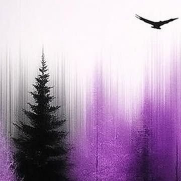 Si2ih's profile picture. رزقنا اللّـہ وإياڪَم شفاعتـہ ومرافقتـہ في الجنـہ{ﷺ}