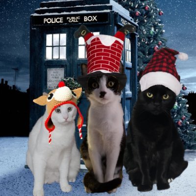 RhondaHendee's profile picture. Gizmo (🐱) General in #ZSHQ / #theaviators Batman 🌈 /
Rhonda (👩) #TWD #Longmire  #DrWho #JrNation #BSG breast cancer survivor #pinkwarriorbatman