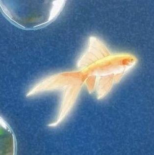 sekretariys's profile picture. #studytwt • ESFP 🩷