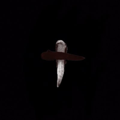 yitched's profile picture. the gallery